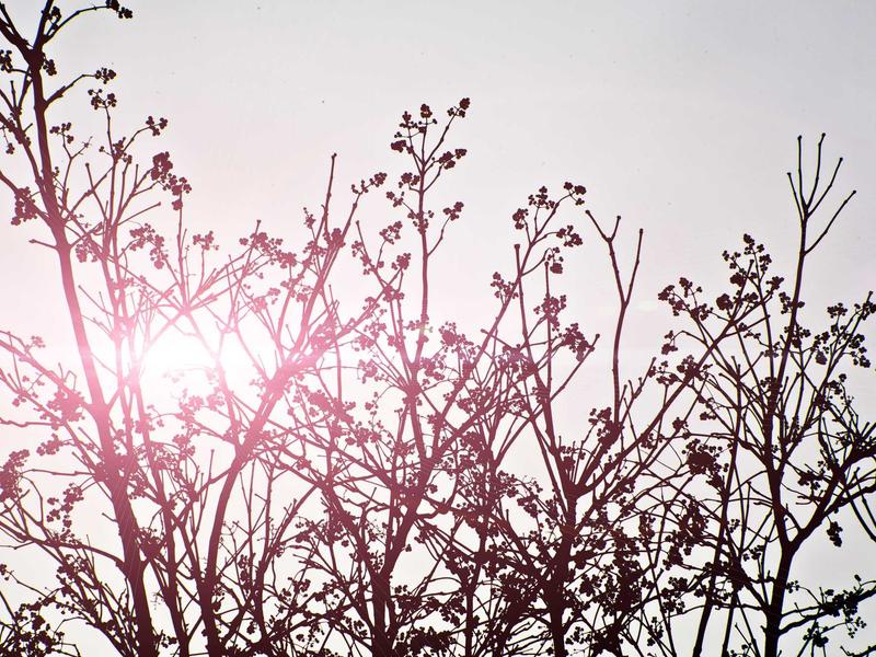 sudoku daily puzzle screenshot 6